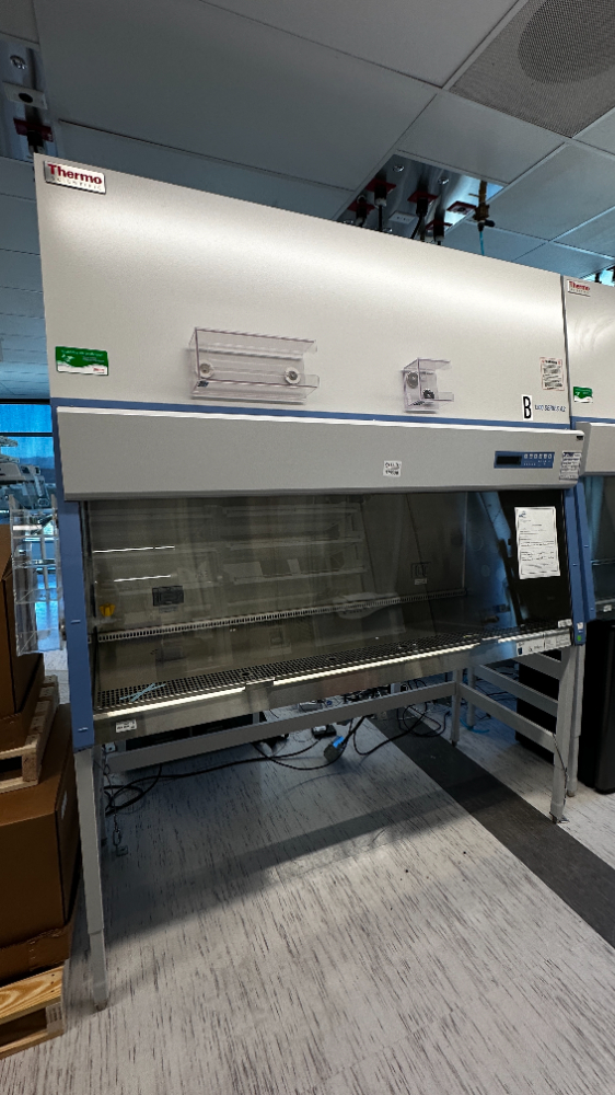 Image of Thermo Scientific 1300 Series A2 BSC- 6ft